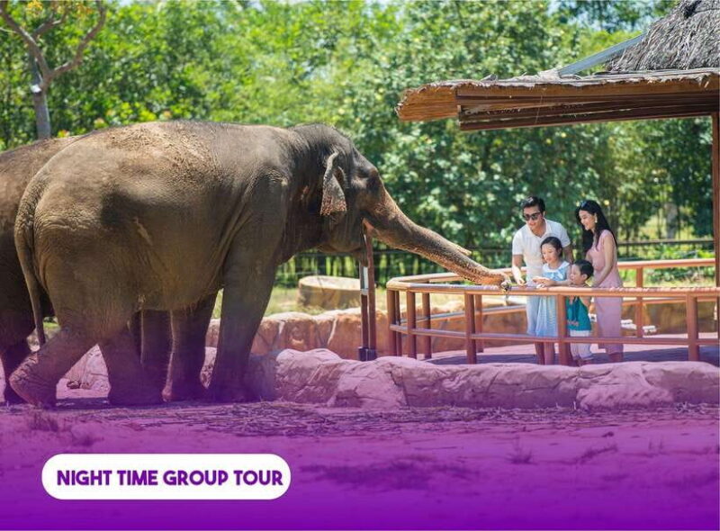South Hoi An River Safari With Candle-lit Beach Dinner - Tour Overview and Pricing