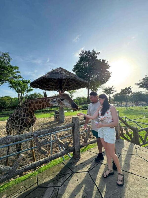 South Hoi An River Safari With Candle-lit Beach Dinner - Wildlife Adventure at the River Sanctuary