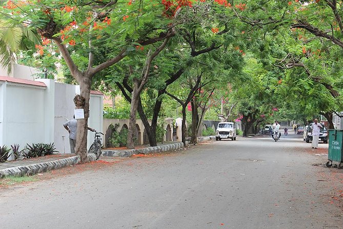 South Indian Vegetarian Cooking Class Near the Chennai Airport - Explore South Indian Cuisine