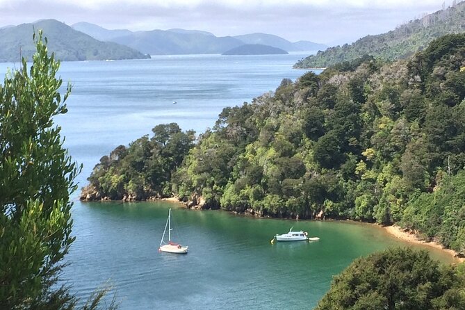 South Island Road Trip Delights: Custom Multi-Day 7D : 6N - Meals and Wine Included