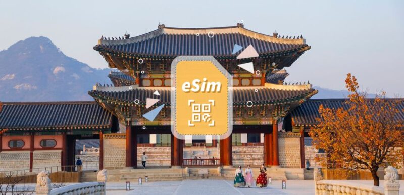 South Korea: 5G Esim Mobile Data Plan - Usage Guidelines