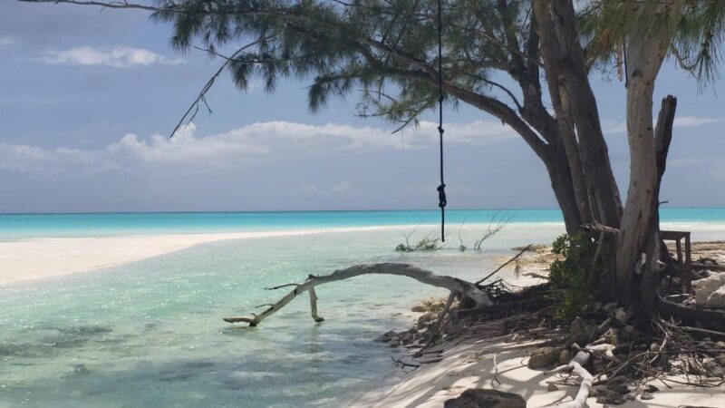 South Long Island 3 Hour Guided Land Tour - Key Points