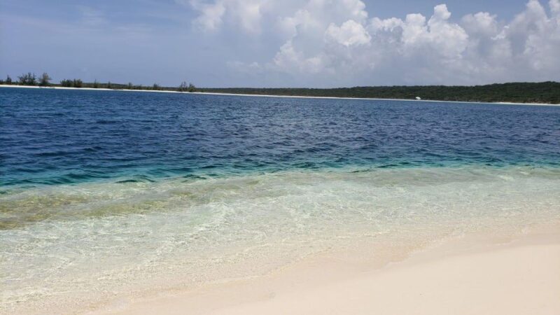South Long Island 3 Hour Guided Land Tour - Booking Information