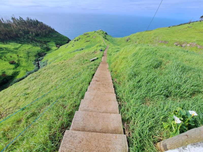 South Madeira:, Day Tour, Breathtaking Mountain+Coastal Trip - Itinerary Highlights