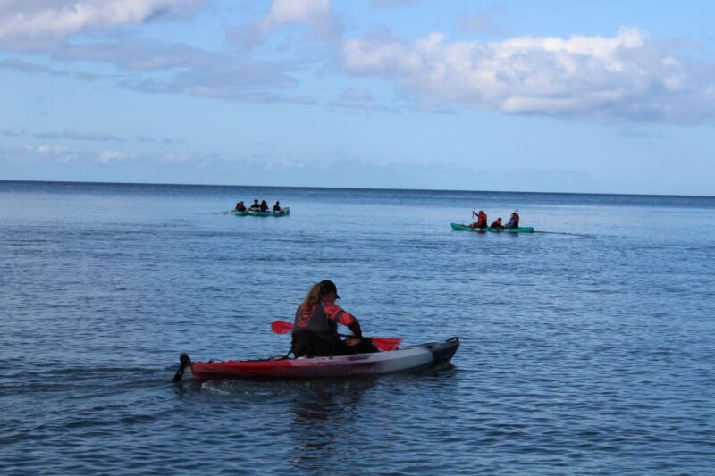South Maui: Auau Channel Kayak and Snorkel Adventure - Experience and Highlights