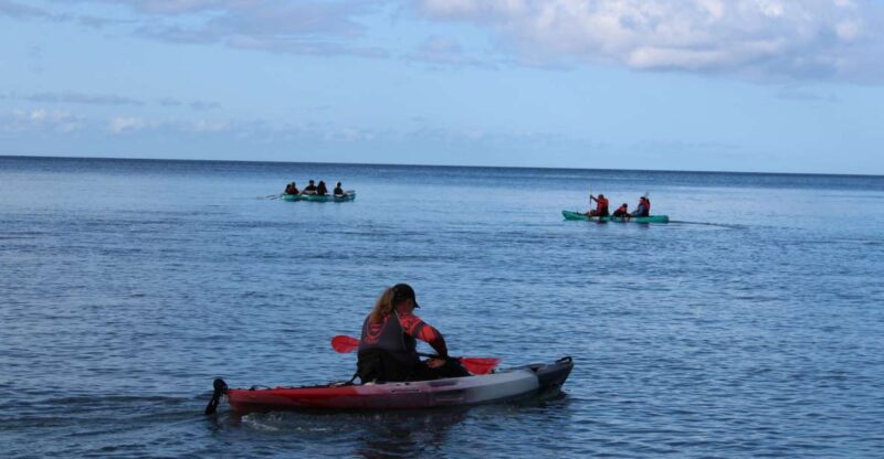 South Maui: Auau Channel Kayak and Snorkel Adventure - Safety and Equipment