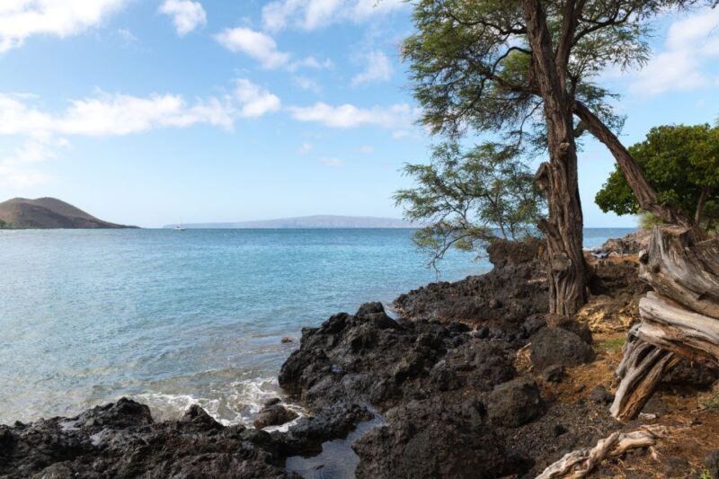 South Maui: Beach Parks Self-Guided Driving Tour - Important Information