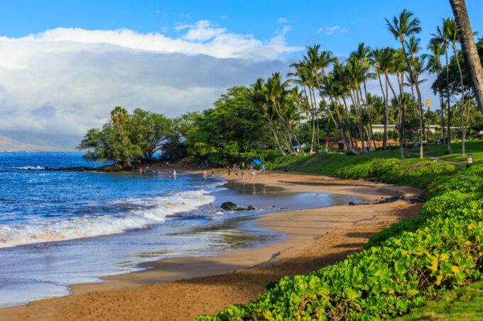 South Maui: Beach Parks Self-Guided Driving Tour - Traveler Reviews