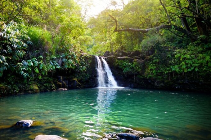 South Maui: Beach Parks Self-Guided Driving Tour - Frequently Asked Questions