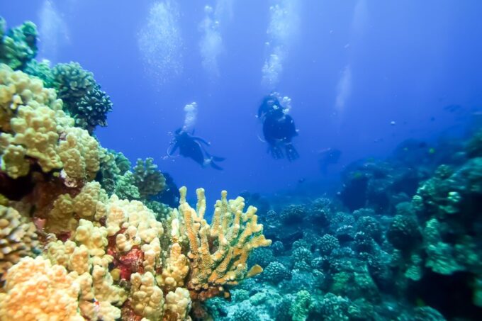 South Maui: Eco Friendly Molokini and Turtle Town Tour - Frequently Asked Questions