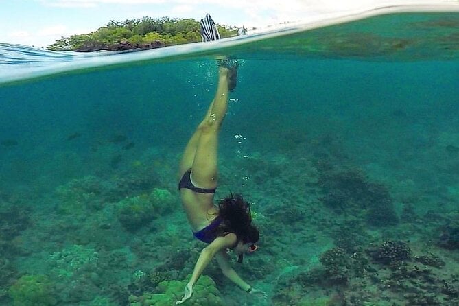 South Maui Kayak and Snorkel Tour With Turtles - Booking Confirmation and Cancellation Policy