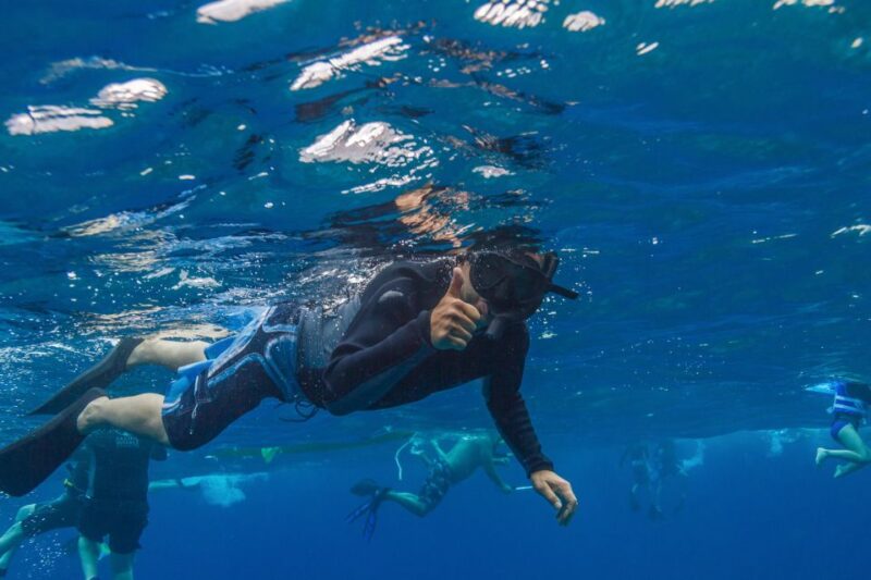 South Maui: Lanai Snorkel & Dolphin Watch From Maalaea - Breakfast and Lunch Details