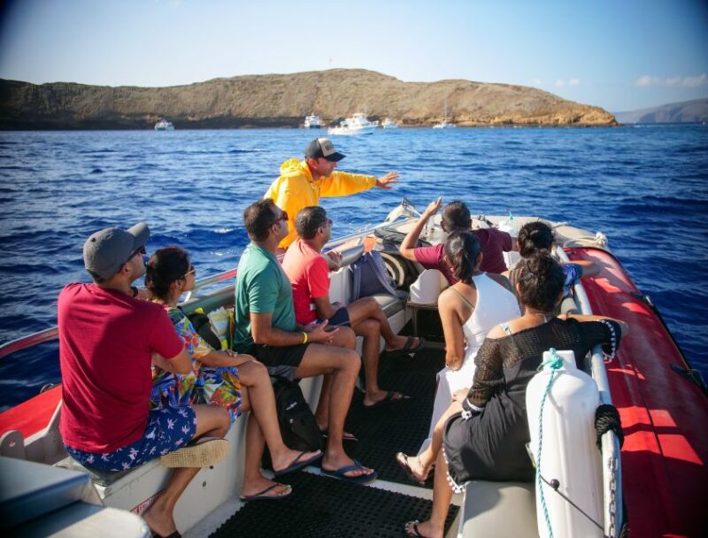 South Maui: Molokini Crater and Turtle Town Snorkeling Trip - Key Points