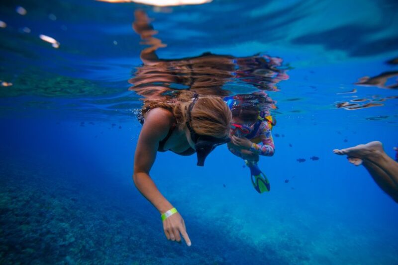 South Maui: Molokini Crater and Turtle Town Snorkeling Trip - Highlights and Experiences