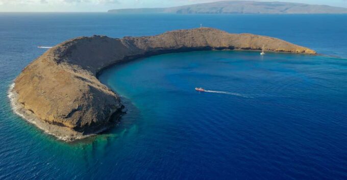 South Maui: Molokini Crater and Turtle Town Snorkeling Trip - Requirements and Restrictions