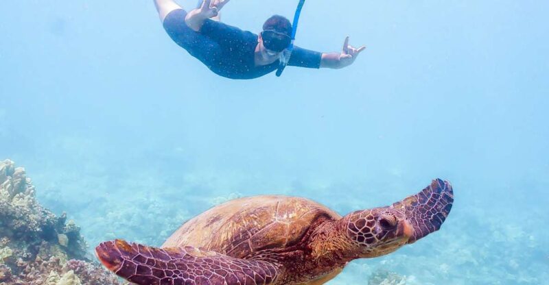 South Maui: Molokini Snorkeling Adventure - Itinerary and Highlights