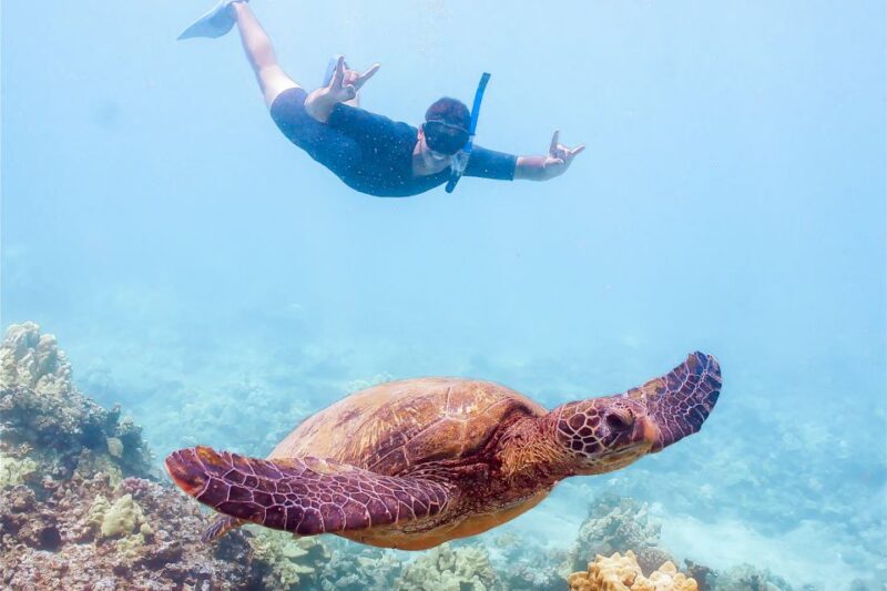 South Maui: Molokini Snorkeling Adventure - Onboard Amenities and Safety