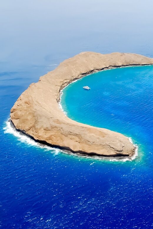 South Maui: Molokini & Turtle Adventure from Maalaea Harbor - Key Points