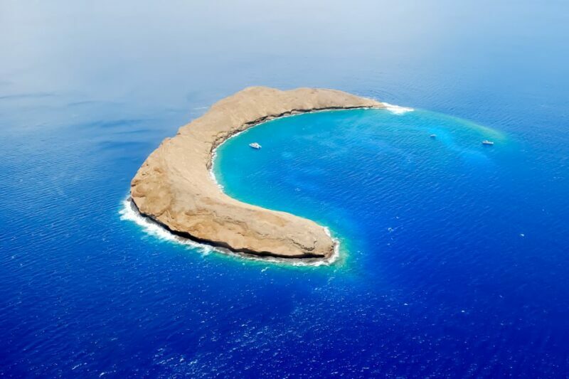 South Maui: Molokini & Turtle Adventure from Maalaea Harbor - FAQ