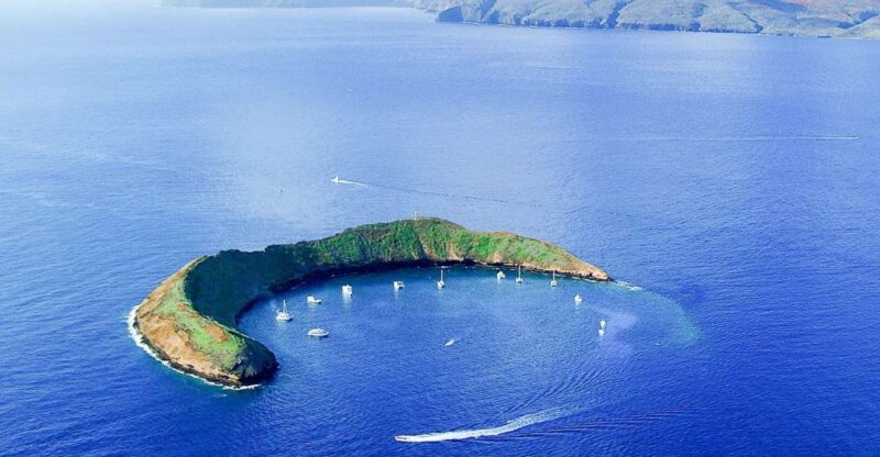 South Maui: Molokini & Turtle Town Snorkeling Tour With Meal - Key Points