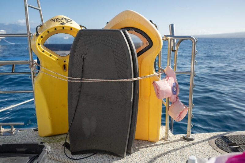 South Maui: Molokini & Turtle Town Snorkeling Tour With Meal - Inclusions