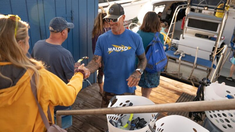 South Maui: Molokini & Turtle Town Snorkeling Tour With Meal - Important Information