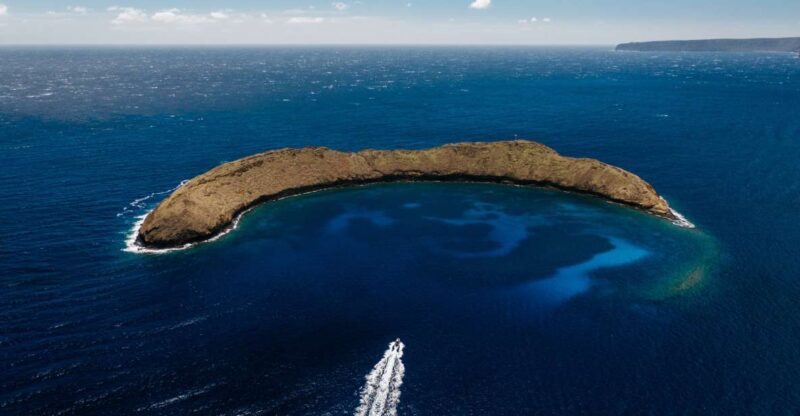 South Maui: Molokini Volcanic Crater Snorkeling Cruise - Experience Highlights