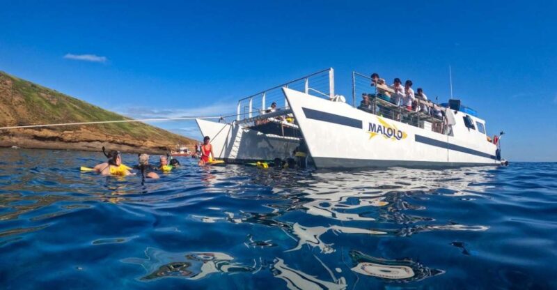 South Maui: PM Snorkel to Coral Gardens or Molokini Crater - Itinerary and Activities