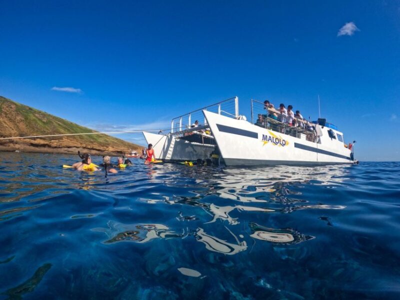 South Maui: PM Snorkel to Coral Gardens or Molokini Crater - Customer Feedback