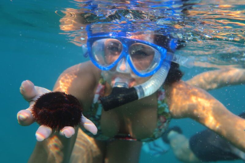 South Maui: Premium Turtle Town Kayak and Snorkel Tour - Accessibility and Suitability