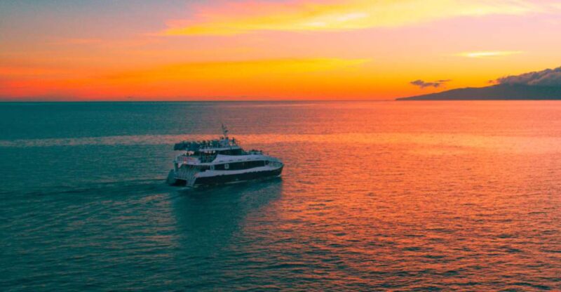 South Maui: Sunset Prime Rib or Mahi Mahi Dinner Cruise - Wildlife and Scenic Highlights