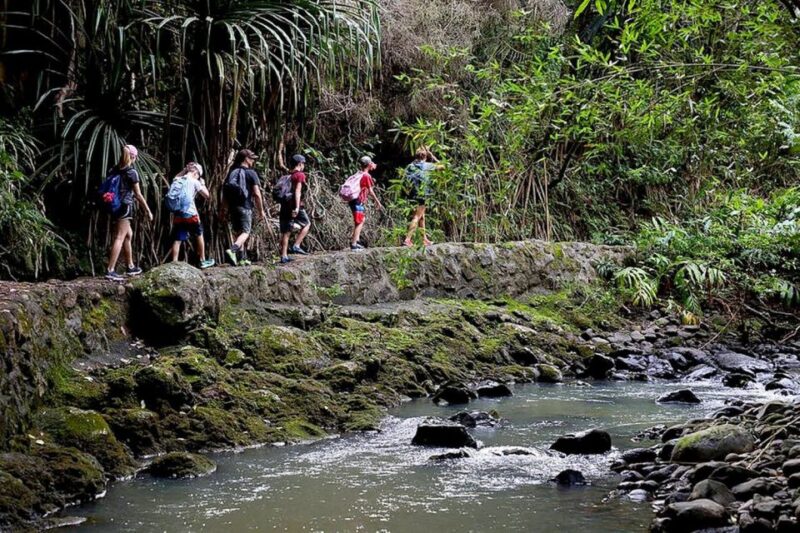 South Maui: Waterfall Tour W/ Kayak, Snorkel, and Hike - Inclusions and Amenities