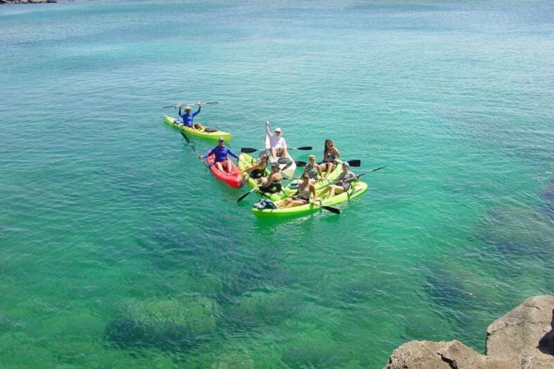 South Maui: Waterfall Tour W/ Kayak, Snorkel, and Hike - Group and Weather Policies