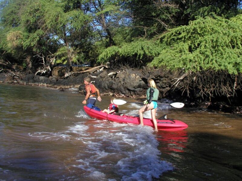 South Maui: Whale Watch Kayaking and Snorkel Tour in Kihei - Experience Highlights