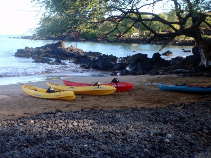 South Maui: Whale Watch Kayaking and Snorkel Tour in Kihei - Frequently Asked Questions