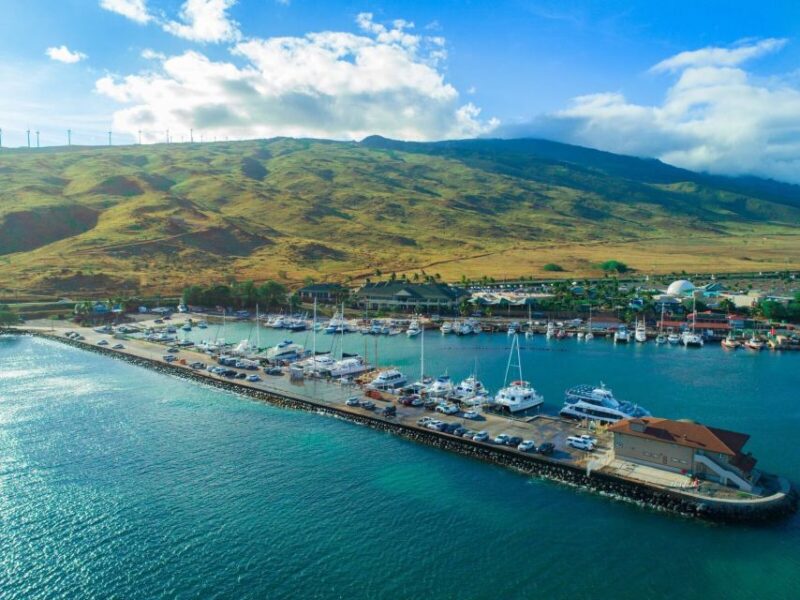 South Maui: Whale Watching Cruise Aboard Calypso - Important Restrictions