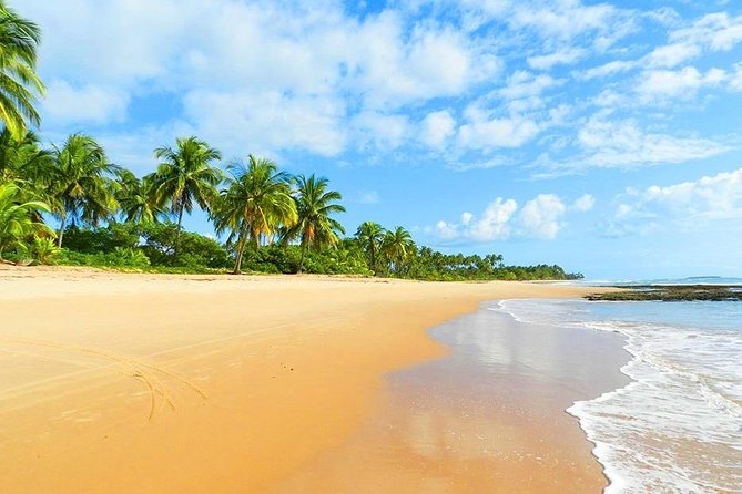 South of Bahia Tour - Private Multi Day Tour - Key Points