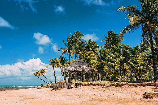 South of Bahia Tour - Private Multi Day Tour - Pickup Information