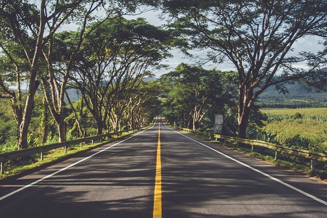 South of Mauritius : LYCHEE WINE Tasting & Tea Route With Lunch - Mauritian Lunch Experience
