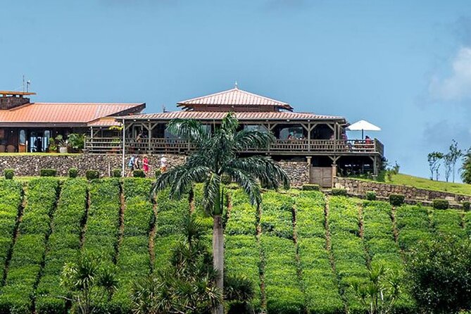 South of Mauritius : LYCHEE WINE Tasting & Tea Route With Lunch - Private Transportation and Guide