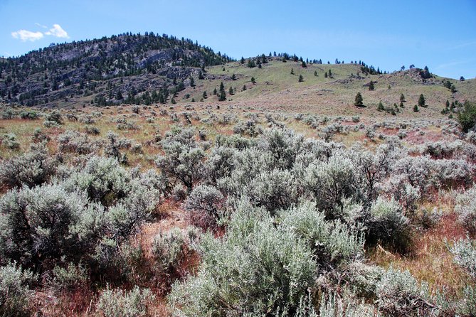 South Okanagan Desert Tour - Inclusions