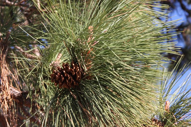 South Okanagan Desert Tour - Guided Walk at Osoyoos Desert Centre