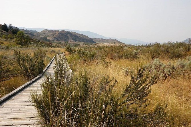 South Okanagan Desert Tour - Birdwatching at Vaseux Lake Provincial Park
