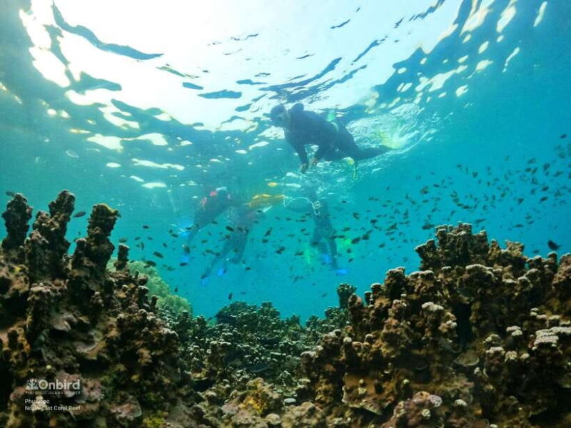 South Phu Quoc: Pro Snorkeling Tour by Speedboat - Hidden Coral Sites