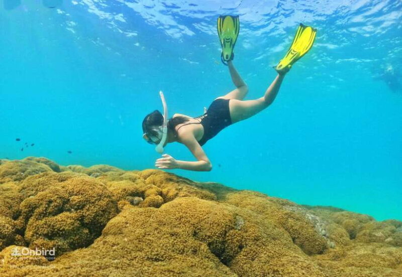 South Phu Quoc: Pro Snorkeling Tour by Speedboat - Safety and Precautions