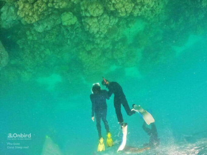South Phu Quoc: Pro Snorkeling Tour by Speedboat - Customer Feedback