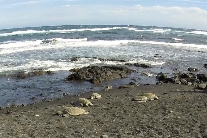 South Point, Volcanoes & Stargazing Exclusive Private Van Charter - Frequently Asked Questions