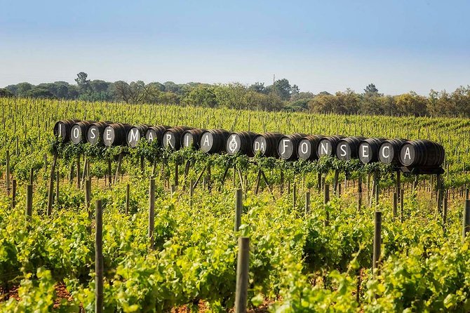 South Portugal Wine Route Private Full Day Tour From Lisbon - Pricing and Additional Costs