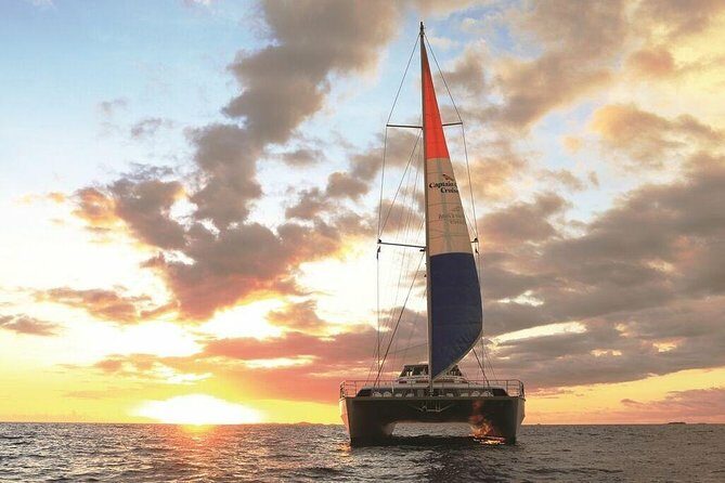 South Sea Island Combo Trip with Lunch & Drinks - Who Should Consider This Tour?