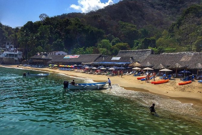 South Shore Private Sightseeing Cruise in Puerto Vallarta - Private Nature of the Tour